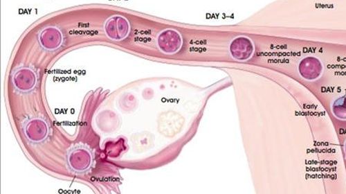 Kinh nguyệt ra nhiều phải làm sao?